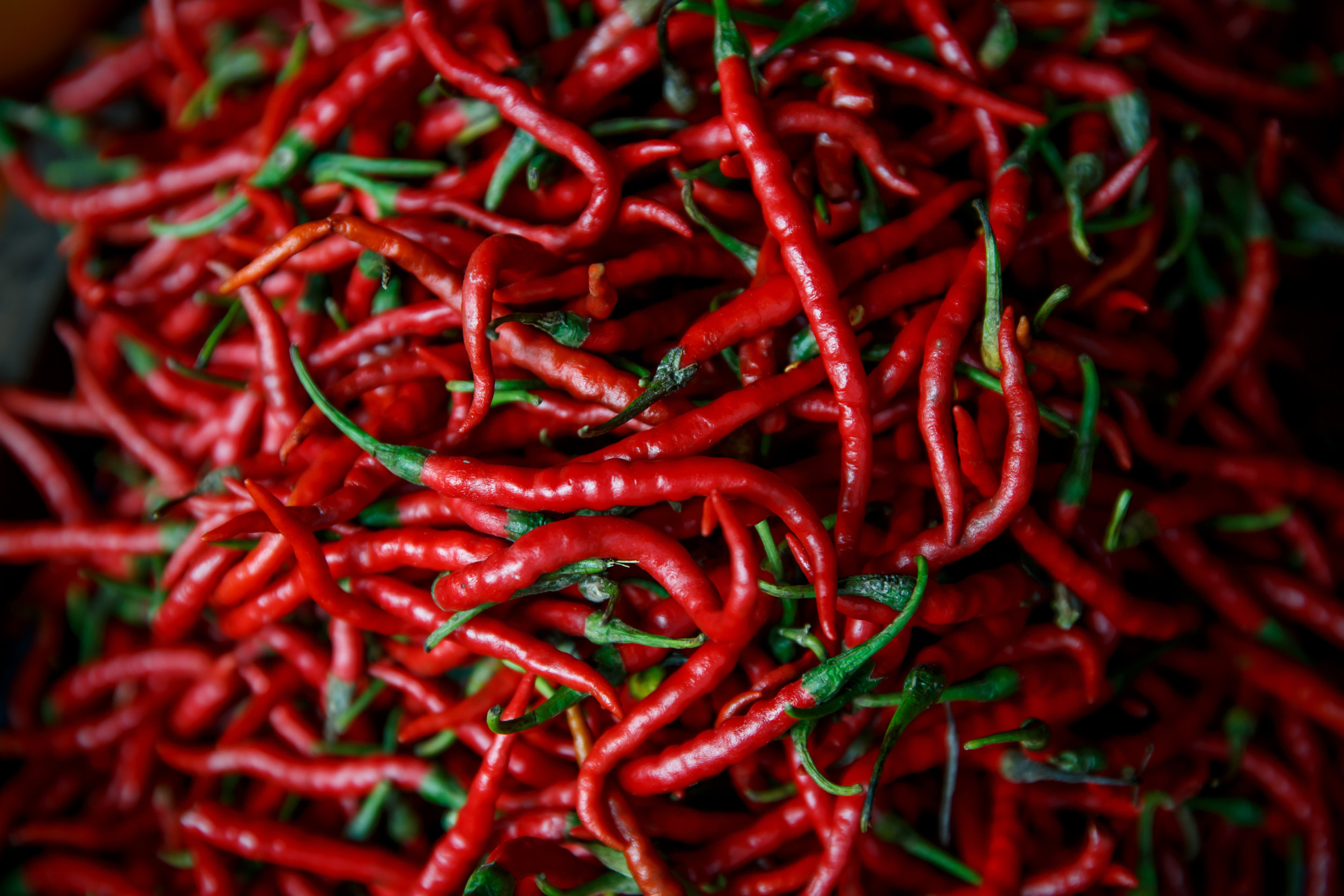 Cabai Merah Keriting Segar
